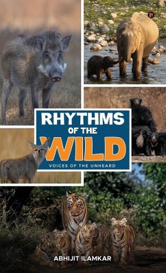 Rhythms of the Wild - Abhijit Ilamkar Rhythms of the Wild - Abhijit Ilamkar