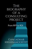 The biography of a consulting project