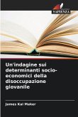 Un'indagine sui determinanti socio-economici della disoccupazione giovanile