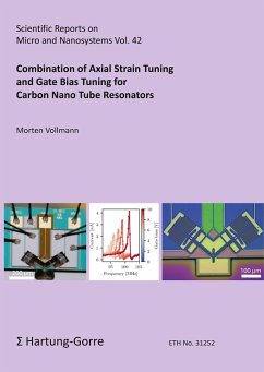 Cover Combination of Axial Strain Tuning and Gate Bias Tuning for Carbon Nano Tube Resonators