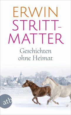 Cover Geschichten ohne Heimat