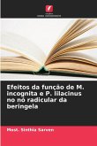 Efeitos da função de M. incognita e P. lilacinus no nó radicular da beringela
