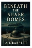 Beneath the Silver Domes (eBook, ePUB)