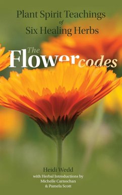 Cover Plant Spirit Teachings of Six Healing Herbs (The Flower Codes, #2) (eBook, ePUB)