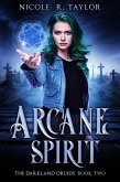 Arcane Spirit (The Darkland Druids, #2) (eBook, ePUB)
