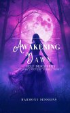 Awakening Dawn (Clara's Mystery Journey, #1) (eBook, ePUB)