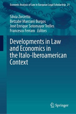 Cover Developments in Law and Economics in the Italo-Iberoamerican Context (eBook, PDF)