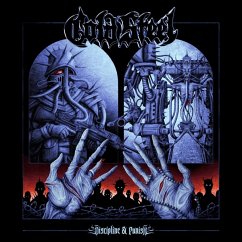 Cover Discipline & Punish