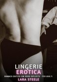 Lingerie Erotica (eBook, ePUB)