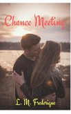 Chance Meeting (eBook, ePUB)