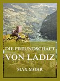 Die Freundschaft von Ladiz (eBook, ePUB)