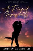A Perfect Impossibility (eBook, ePUB)
