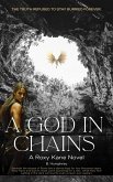 A God in Chains (Roxy Kane) (eBook, ePUB)