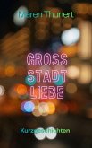 Grossstadtliebe (eBook, ePUB)