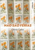 Não são férias (eBook, ePUB)