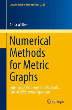 Numerical Methods for Metric Graphs (eBook, PDF) - Weller, Anna