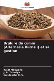 Brûlure du cumin (Alternaria Burnsii) et sa gestion Brûlure du cumin (Alternaria Burnsii) et sa gestion
