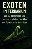 Exoten im Terrarium
