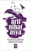 Kanatlarini Arayanlar Kanatlarini Arayanlar