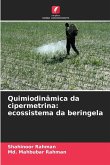 Quimiodinâmica da cipermetrina: ecossistema da beringela