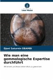 Wie man eine gemmologische Expertise durchführt Wie man eine gemmologische Expertise durchführt