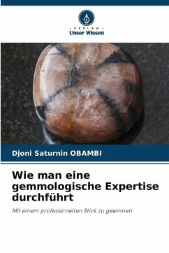 Cover Wie man eine gemmologische Expertise durchführt