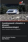 Cambiamenti climatici e disastri idrometeorologici