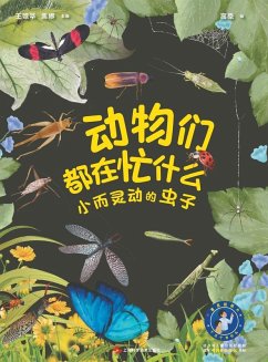 What Are Animals Up To - ¿¿¿ ¿¿ ¿¿