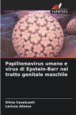Papillomavirus umano e virus di Epstein-Barr nel tratto genitale maschile