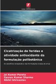 Cicatrização de feridas e atividade antioxidante da formulação polibotânica