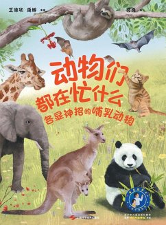 What Are Animals Up To - ¿¿¿ ¿¿ ¿¿