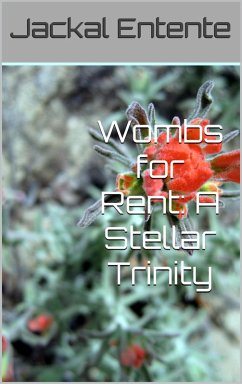 Cover Wombs for Rent: A Stellar Trinity (Commission One Shots, #12) (eBook, ePUB)