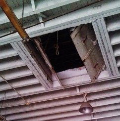 The Wolf at the Door: Edward Walton Serial Killer (eBook, ePUB) - Kelly, Patricia The Wolf at the Door: Edward Walton Serial Killer (eBook, ePUB) - Kelly, Patricia