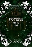 Hotelul Dintre Lumi (eBook, ePUB)