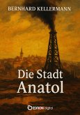 Die Stadt Anatol (eBook, ePUB)