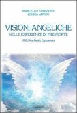 Visioni angeliche nelle esperienze di pre-morte. NDE (Near-Death Experiences) Visioni angeliche nelle esperienze di pre-morte. NDE (Near-Death Experiences)