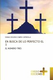 EN BUSCA DE LO PERFECTO EL 3