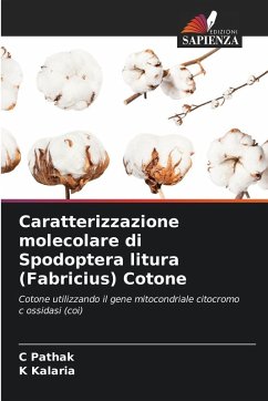 Cover Caratterizzazione molecolare di Spodoptera litura (Fabricius) Cotone