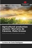 Agricultural production system: Morraria de Cáceres, Mato Grosso