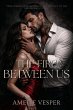 The Fire Between Us (eBook, ePUB) - Bild 1