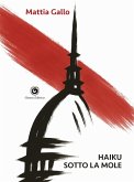 Haiku sotto la Mole Haiku sotto la Mole