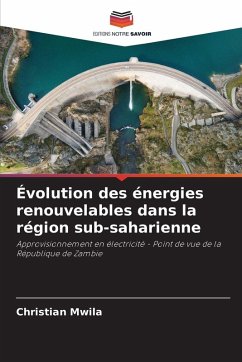 Évolution des énergies renouvelables dans la région sub-saharienne - Mwila, Christian