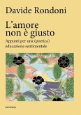L' amore non è giusto. Appunti per una (poetica) educazione sentimentale