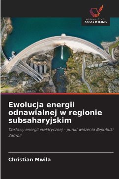 Cover Ewolucja energii odnawialnej w regionie subsaharyjskim