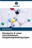Rhodamin B unter verschiedenen Umgebungsbedingungen