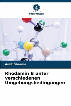 Cover Rhodamin B unter verschiedenen Umgebungsbedingungen