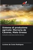 Sistema di produzione agricola: Morraria de Cáceres, Mato Grosso