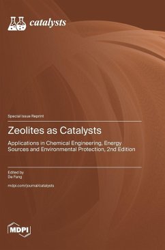 Cover Zeolites as Catalysts