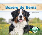 Boyero de Berna (Bernese Mountain Dogs)