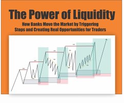 Cover The Power of Liquidity (investing, #104) (eBook, ePUB)
